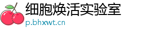 细胞焕活实验室